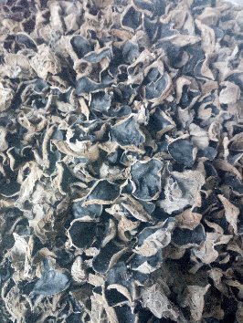 一等秋木耳（东北黑木耳、干木耳） - 辽宁省,铁岭市,铁岭县,白旗寨满族乡